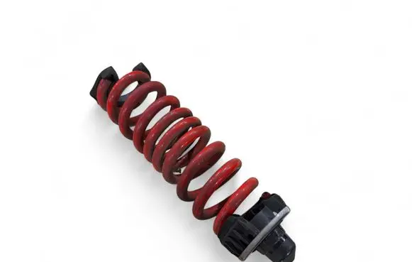 Rear coil spring