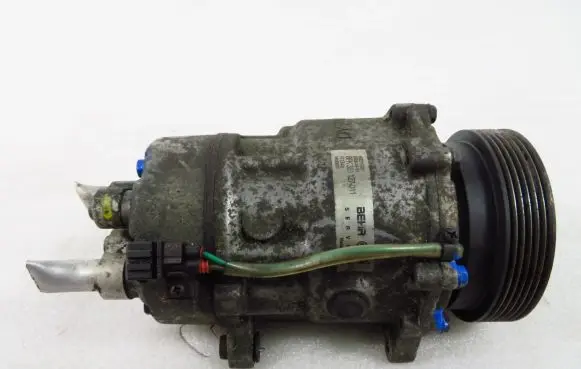 Seat Toledo II (1M) Air conditioning (A/C) compressor (pump) 99000020 8FK351127011