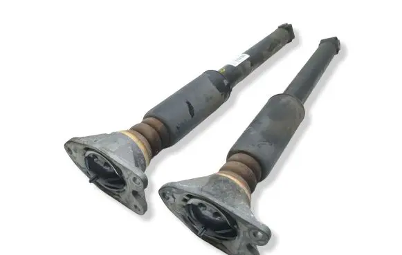 BMW X2 F39 Rear shock absorber/damper 6888332