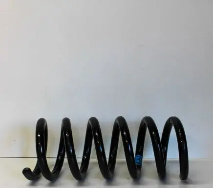 Ford Mustang VI Rear coil spring FR3C5560BE