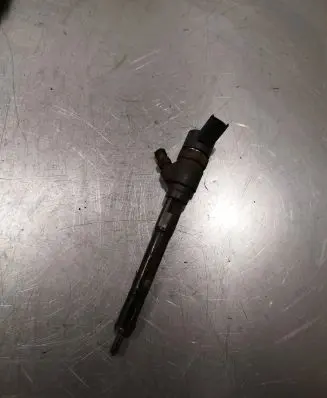 Hyundai Santa Fe Fuel injector 0445110254 3380027800
