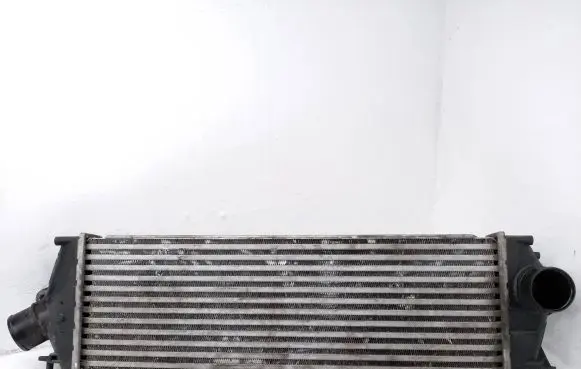Renault Trafic II (X83) Intercooler radiator 8200411160 93854162 992563J
