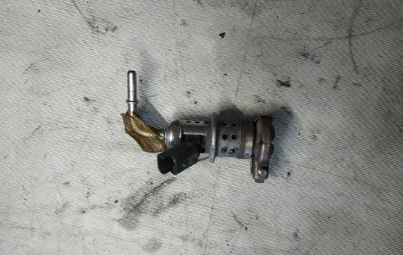 Citroen C4 Cactus Fuel injector 9802763880