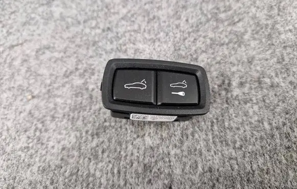Porsche Panamera (971) Tailgate/boot open switch button 971959832C 8BSBJAC 002A2500032