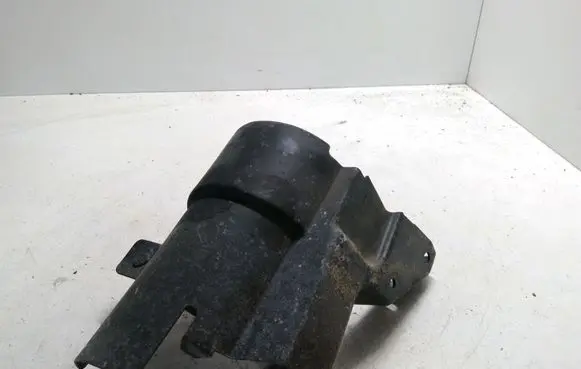 Renault Latitude (L70) Fuel filter bracket/mount holder 8200788396