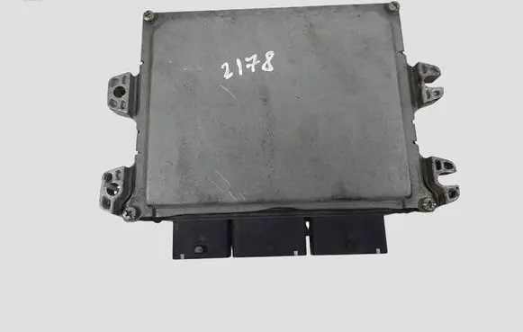 Nissan Juke I F15 Engine control unit/module DEA010091 DEA010091A10Z06 DEA010