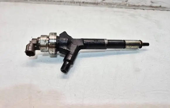 Opel Zafira B Fuel injector 8973762703