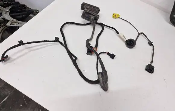 Volkswagen PASSAT B6 Front door wiring loom 3C1971120T