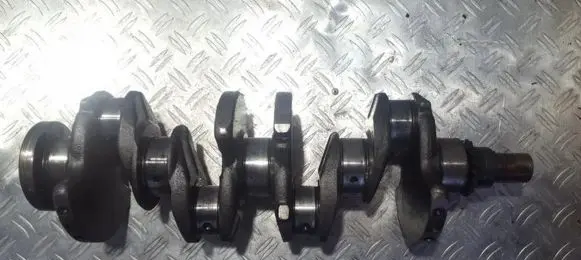 Fiat Scudo Crankshaft 