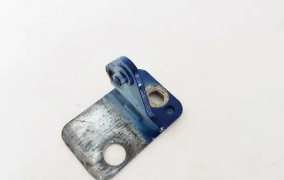 Porsche Cayenne (9PA) Rear door lower hinge