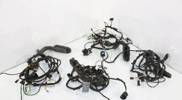 BMW X5M E70 Rear door wiring loom 9207859