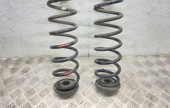 Rear coil spring