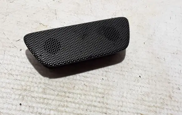 Front door high frequency speaker