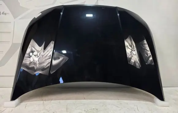 BMW 1 F70 Engine bonnet/hood