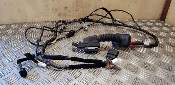 Front door wiring loom