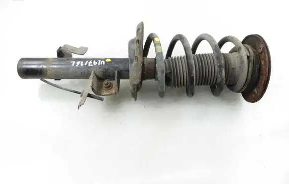 Ford S-MAX Front shock absorber with coil spring 
