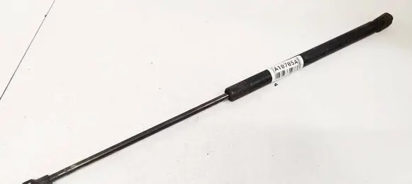 Tailgate/trunk strut/damper