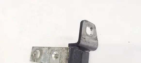 Rear door lower hinge