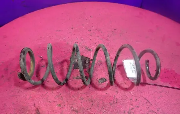 Renault Laguna III Rear coil spring