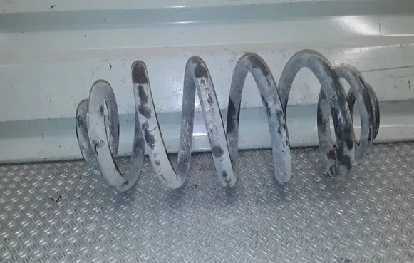 Opel Insignia A Rear coil spring