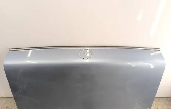 Tailgate/trunk/boot lid