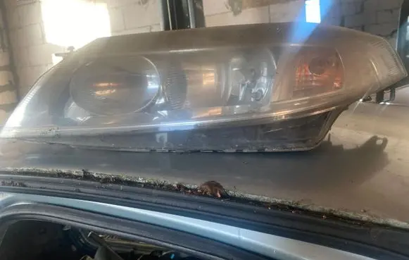 Renault Laguna II Headlight/headlamp