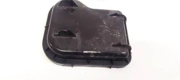 Headlight/headlamp dust cover