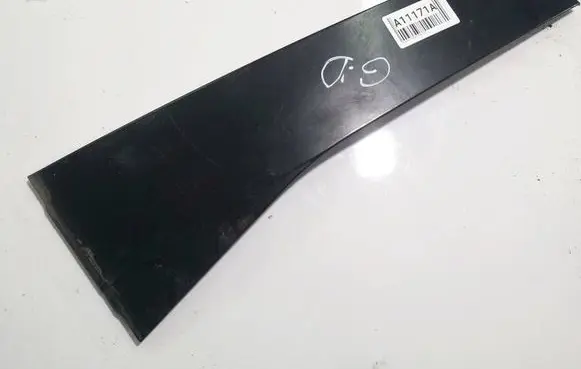 Volkswagen PASSAT B6 Other rear door trim element 