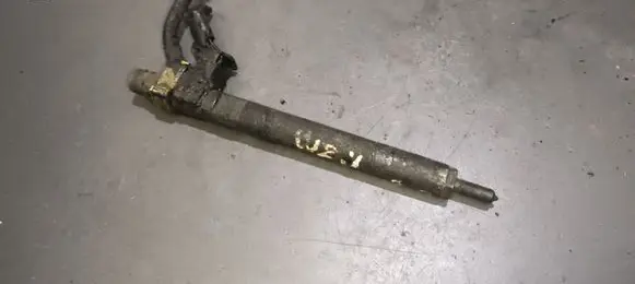 Mercedes-Benz E W211 Fuel injector A6460700987