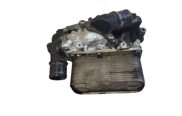 Renault Koleos I Oil filter mounting bracket 161FL518
