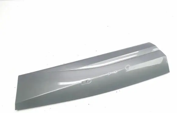 Cupra Formentor Rear door trim (molding) 5FF854949B
