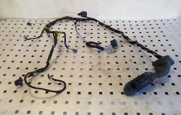Rear door wiring loom