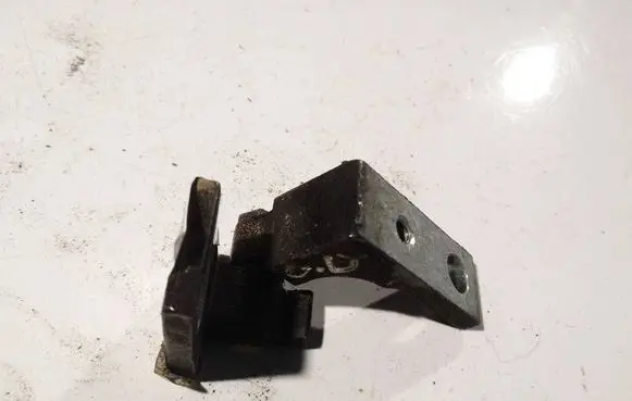 Rear door lower hinge