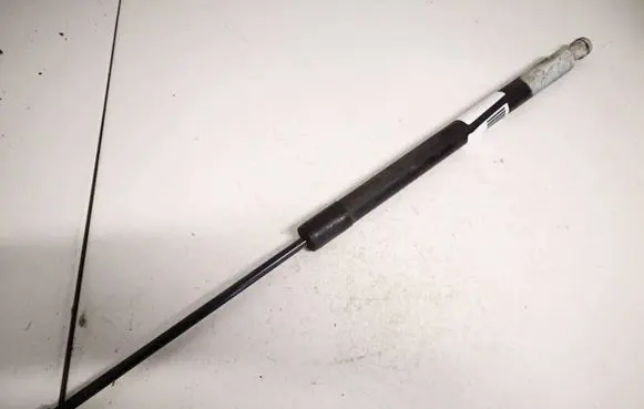 Renault Scenic III - Grand scenic III Tailgate/trunk strut/damper 904500004r
