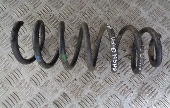 Rear coil spring