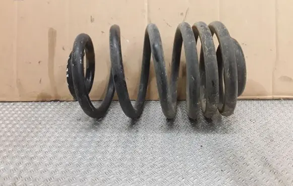 Rear coil spring