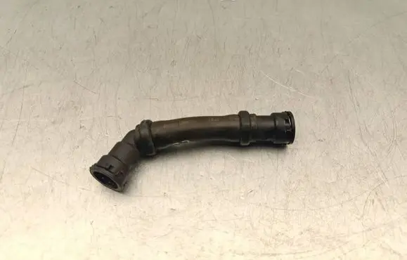 Renault Kadjar Engine coolant pipe/hose 1321098 1321099