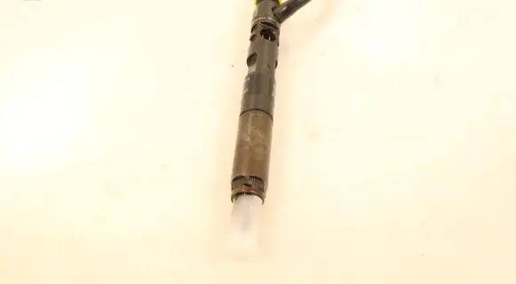Renault Fluence Fuel injector H8200827965