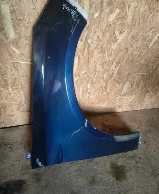 Ford Focus Fender