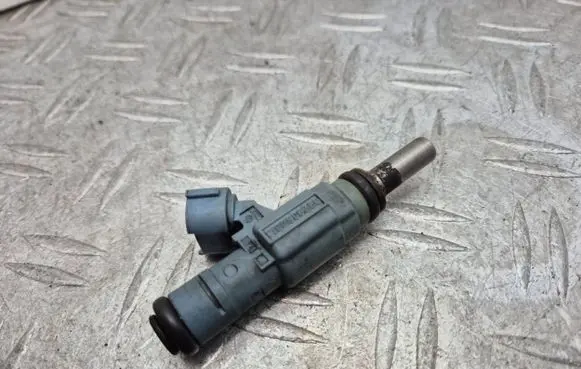 Porsche Cayenne (9PA) Fuel injector 022906031J 0280157012