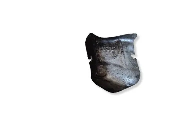 Citroen Berlingo Exhaust heat shield 9809695080