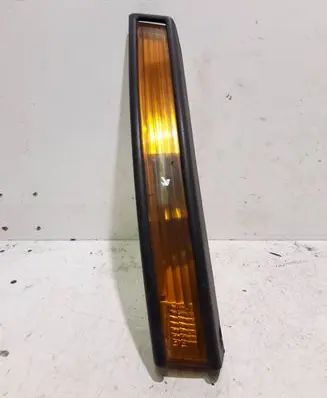 Volkswagen PASSAT B6 Front indicator light 3C0953041F