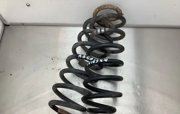 Audi A3 S3 8P Rear coil spring