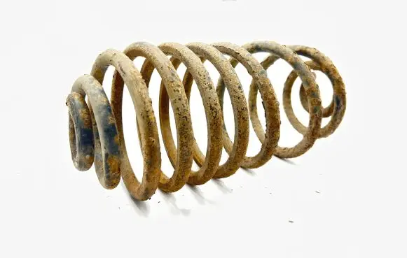 Rear coil spring