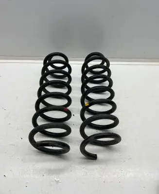 Rear coil spring