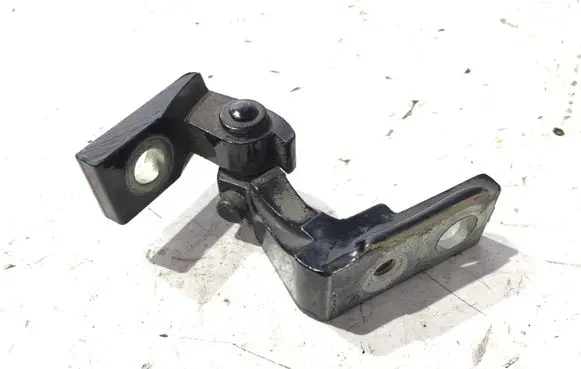 Front door lower hinge