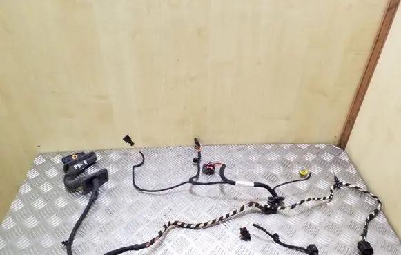Volkswagen PASSAT CC Front door wiring loom 3C8971120