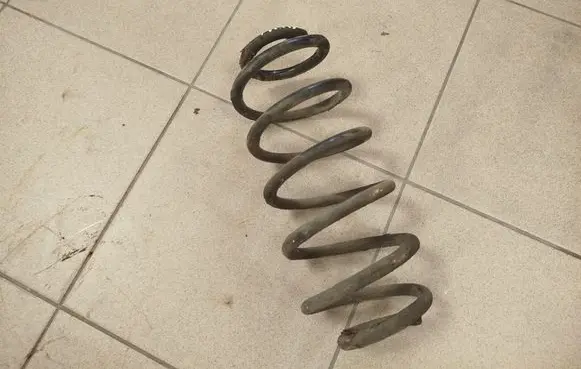 Rear coil spring