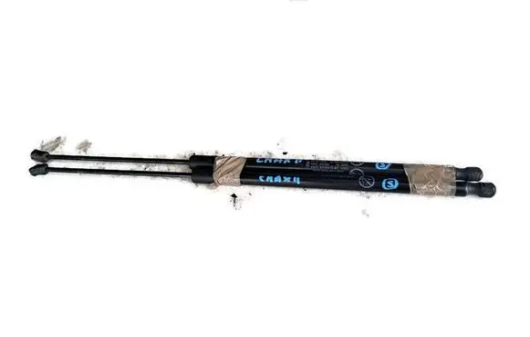 Ford C-MAX II Tailgate strut AM51-R406A10-AF 3967670585N