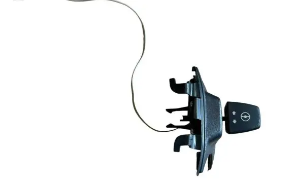 BMW X5 E70 Steering wheel adjustment switch 6966710 61316966710